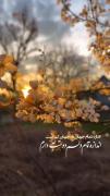 💍♥️ اندازه تمام جهان نه جهان کم است اندازه تمام دلم دوست دارم ☀️🤍