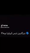 استی و آرمی...................... 