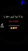 عاشق گربه هام ولی مامانم می ترسه