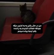 آخه چرا تو اینجوری دخترم به بابا بگو🫵🏻😂