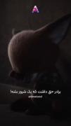 𝗻𝗮𝗺𝗲 ⁝ زوتوپیا..........:)