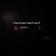 _______________________________