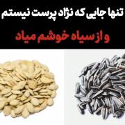 تنها جایی که نژاد پرست نیستم و از سیاه خوشم میاد