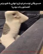 پیمشیاد‌‌‌‌‌‌‌‌‌‌‌‌‌‌‌‌‌‌‌‌‌‌‌