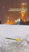 به تنها چیزی که حسودی می کنم✨🤍🫠