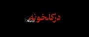 باید اینجا بخشکیم.........!؟))