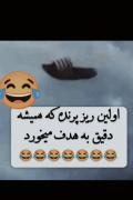 ریز پرنده ساخت مادرا. 😂😂🤌