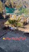 یعنی واقعا که. 🤧🌱
