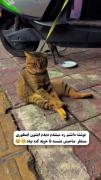 اخیی پیشی رو نگاه🥺 💕