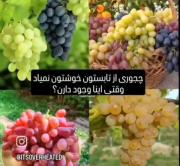 ولی تابستون. 🥺🤌