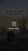 چه تراپیست خوبی😂 💔