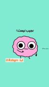 تا حالا به این فکر کردین که😑😂
