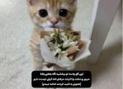 ولی هنوزم اذیتت میکنم ها😂 💘