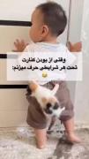  ‌ ‌ ‌آله...😂