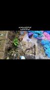 به اندازه ی همه ی اینا قشنگی:)🦢💗