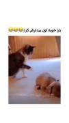 باز خوبه بیدارش کرد😂😬 ‌