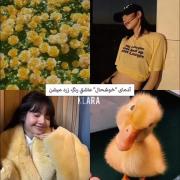 رنگ ها واقعا عجیبن...💛. .
