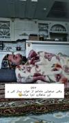 حق تا 25 روز دیگه😂😂😂😂😂.... 