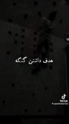 Abol.iran.....................