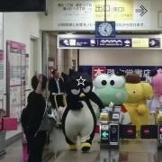 ⋆｡‧˚ʚ ୨ৎ ɞ˚‧｡⋆‌‌‌‌‌‌‌‌‌‌‌‌‌‌‌‌‌