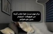 پتوی عزیزم🧸🐾 ‌ ‌ ‌ ‌ ‌ ‌‌ ‌ ‌ 
