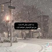 ثبت اولین برفی که ببارد، من تو را فراموش خواهم کرد... 