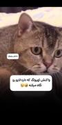 مامان بابای تهیونگ براش استین بالا زدن😂🤝🏻