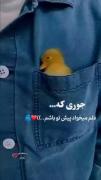 جوری که من دوستت دارم کنارت باشم.