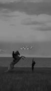 حیران من تویی طوفان نم تویی...