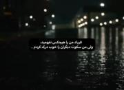 فریاد من را هیچکس نفهمید ولی ...