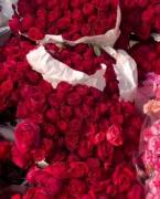 ولی‌زیبایی‌اون‌دختر‌🙇🏻‍♀️𝐭𝐚𝐩𝐞𝐬𝐡𝟏𝟒`‌‌‌‌‌
