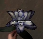 .🎀✨️.‌‌‌‌‌ ‌‌‌‌‌‌‌‌‌‌‌‌‌ ‌‌‌‌‌‌‌‌‌‌ ‌‌