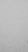بارش برف 🤍❄❄❄☃️☃️☃️🌨🌨...... 
