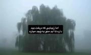 ارامشی که درخت بید میده ⸝⸝. ˚˖𓍢ִ໋🦢˚ ｡