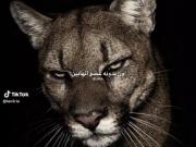 برای دومین بار رو نیکی کراش زدم ممنون از ادیتور🤧