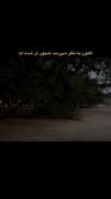 اکنون به نظر می رسد صبور تر شده ام اما