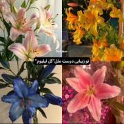 اینو بدون که تو مثل گل لیلیوم زیبایی 
