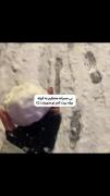 بی صبرانه منتظرم یه گولوله ‌ی برفی بزنم تو صورتت