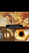 واقعا خیلی زیبا بود 👁️👁️👁️👁️👁️