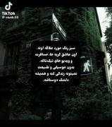 سبز رنگ مورد علاقه اونه ...⁦⁦♡💚