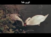 تـوروخـدا نـگـو کـه مـیـری🦢❤✨
