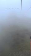 و ای کاش ؛ زندگی این قدر ...