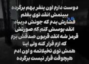 زودتر برگرد باشه؟! .