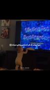 😂😂🎀 من به روایت فیلم : ....
