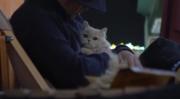  «ترجیح میدم گربه هارو بغل کنم..!»🐱:)
