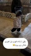  ای جانم😂😂😂..................