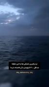 حاضری برای ۱ ملیون دلار برای اینجا؟💀