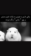 الفاتحههه 🎭😂🐋👥............