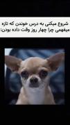 شروع میکنی درس خوندن که یهو...😭