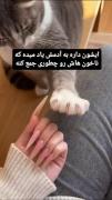 واییییی خدا چه نـــــــــــــــازه 🍬